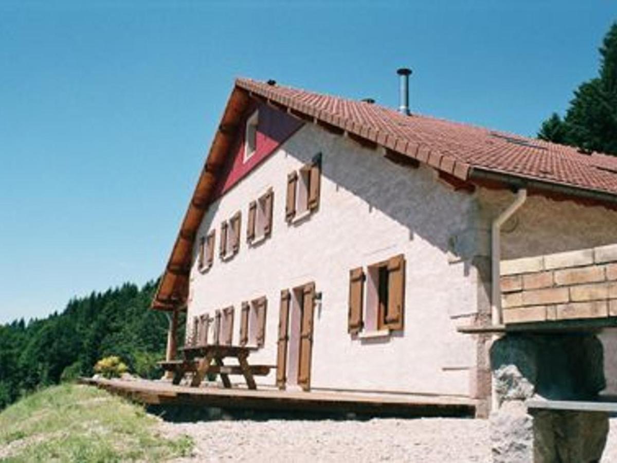 Gite Spacieux, Confort Moderne, 8 Pers, Terrasse Privative, Animaux Admis, Wifi - Fr-1-589-227 Vagney Luaran gambar